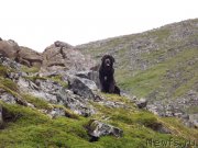 Превью фото № 130376