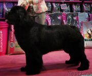 Превью фото № 130395