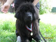 Превью фото № 130421