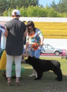 Превью фото № 130487