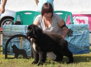 Превью фото № 130504