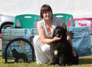 Превью фото № 130505