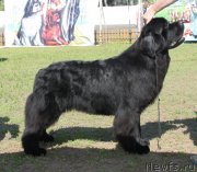 Превью фото № 130514