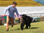 Превью фото № 130515