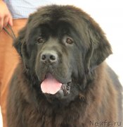 Превью фото № 130517