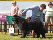 Превью фото № 130520