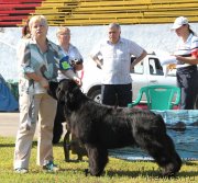 Превью фото № 130521