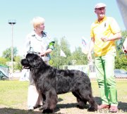 Превью фото № 130524