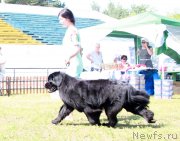 Превью фото № 130529