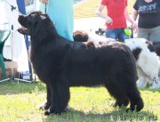 Превью фото № 130530