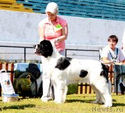 Превью фото № 130544