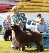 Превью фото № 130549