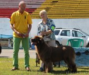 Превью фото № 130550