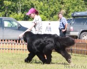 Превью фото № 130556