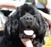 Превью фото № 130562