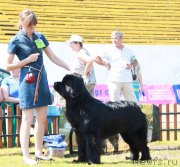 Превью фото № 130566