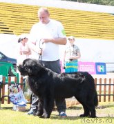 Превью фото № 130573