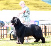 Превью фото № 130585