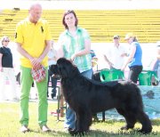 Превью фото № 130587