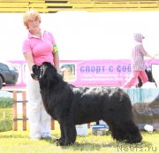 Превью фото № 130616