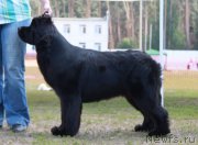 Превью фото № 130617