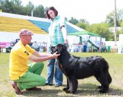 Превью фото № 130620