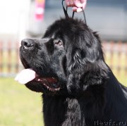 Превью фото № 130621