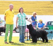 Превью фото № 130639