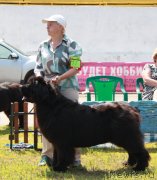 Превью фото № 130645