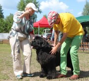 Превью фото № 130666