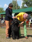 Превью фото № 130667