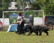 Превью фото № 130670