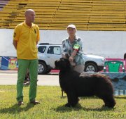 Превью фото № 130673