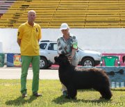 Превью фото № 130674