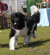 Превью фото № 130677