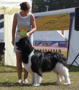 Превью фото № 130681