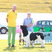 Превью фото № 130693