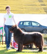 Превью фото № 130695