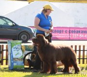 Превью фото № 130696