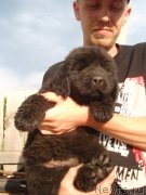 Превью фото № 130719