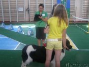 Превью фото № 130763