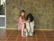 Превью фото № 130765