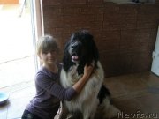 Превью фото № 130768