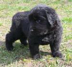 Превью фото № 13082