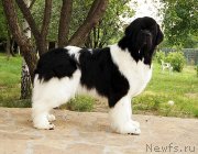 Превью фото № 130835