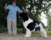 Превью фото № 130841