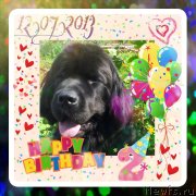 Превью фото № 130898