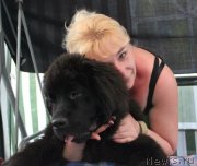 Превью фото № 130903