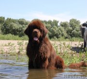 Превью фото № 130919