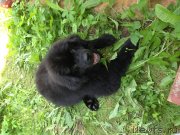 Превью фото № 130928